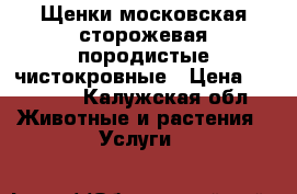 Щенки московская сторожевая породистые чистокровные › Цена ­ 20 000 - Калужская обл. Животные и растения » Услуги   